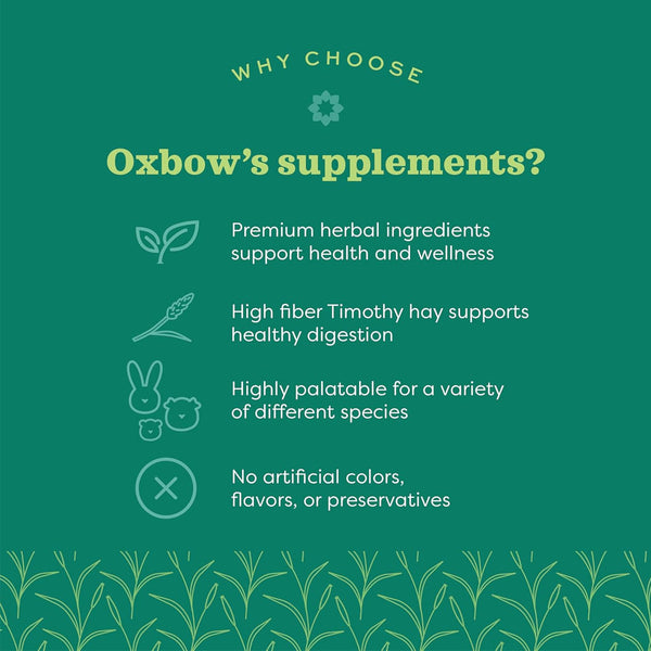 Oxbow Animal Health Natural Science - Digestive Support for Small Animals