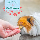 Oxbow Animal Health Natural Science - Digestive Support for Small Animals