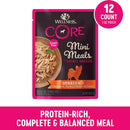 Wellness CORE Grain-Free Small Breed Mini Meals Shredded Chicken & Turkey in Gravy Wet Dog Food (3 oz x 12 pouches)