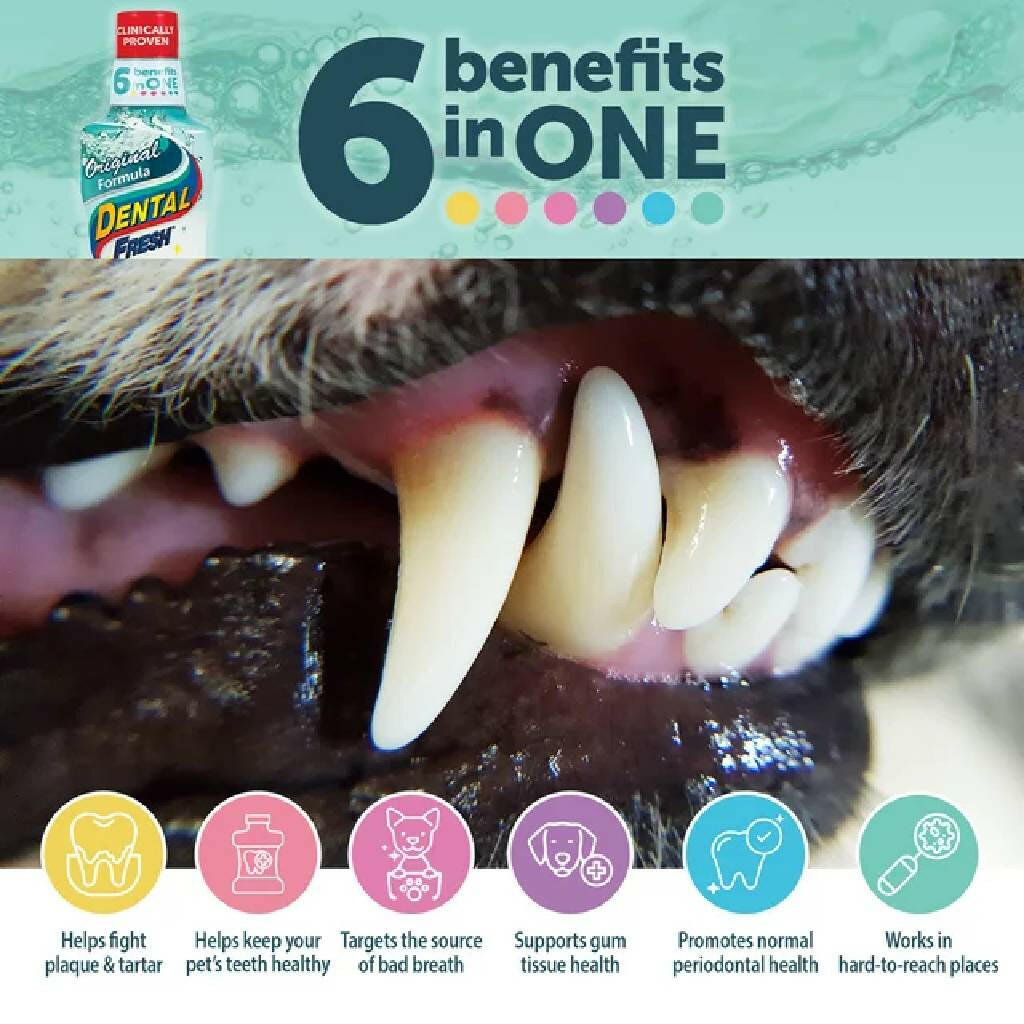 Dental Fresh Original Formula Water Additive for Dogs (17 oz)