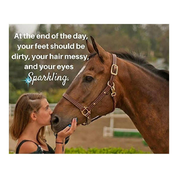 Manna Pro Nutrigood Senior Snax Apple Flavor Treats for Horses (2 lb)