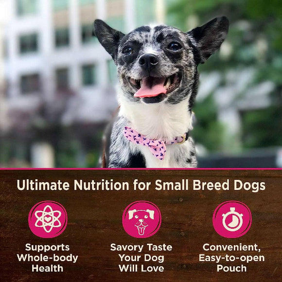 Wellness CORE Grain-Free Small Breed Mini Meals Shredded Chicken & Turkey in Gravy Wet Dog Food (3 oz x 12 pouches)