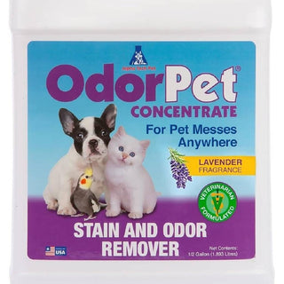 OdorPet Concentrate Stain and Pet Odor Remover (64 oz)