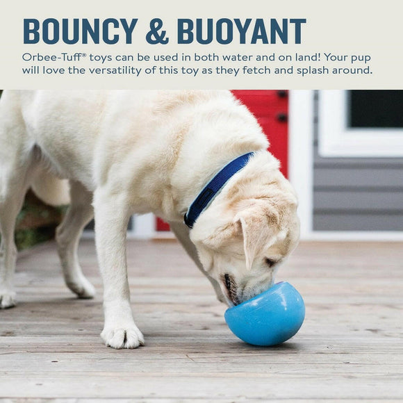 Outward Hound Planet Dog Orbee Snoop Interactive Treat Dispensing Toy Blue (Large)