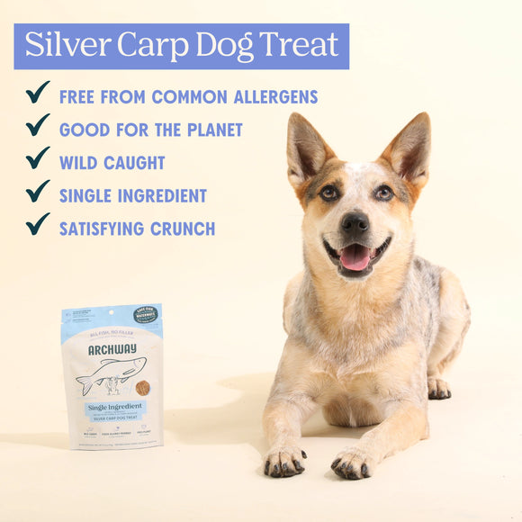 Archway Single Ingredient Sustainable Fish Dehydrated Dog Treats, 2.5-oz Dog Treats.