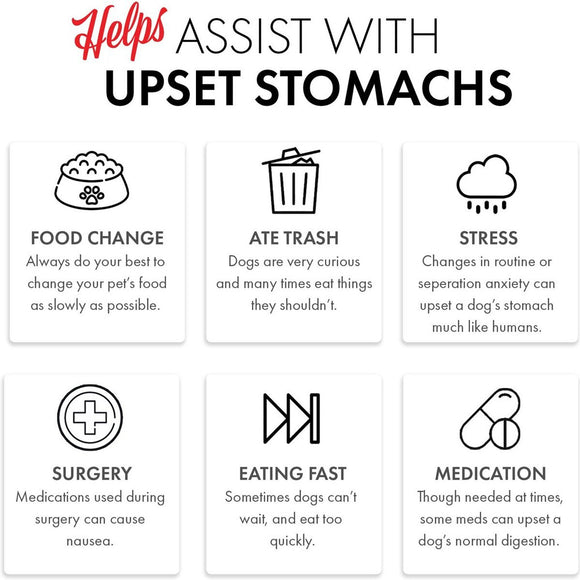 Chart titled 'Helps Assist with Upset Stomachs' for dogs, listing causes and solutions.