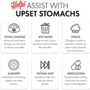 Infographic on helping pets with upset stomachs, featuring icons and text.
