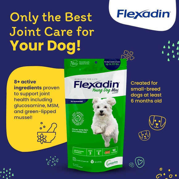 Flexadin Young Dog Mini Joint Supplement Features