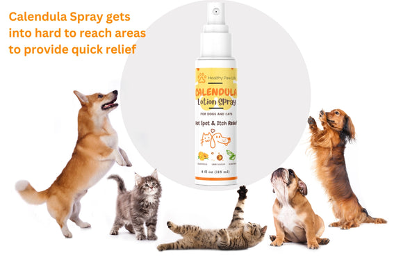 Healthy Paw Life Calendula Lotion Spray for Dogs & Cats, 4-oz