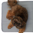 The Green Pet Shop Thera-Pawz Warming Pad actual product with dog