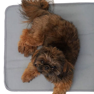 The Green Pet Shop Thera-Pawz Warming Pad actual product with dog