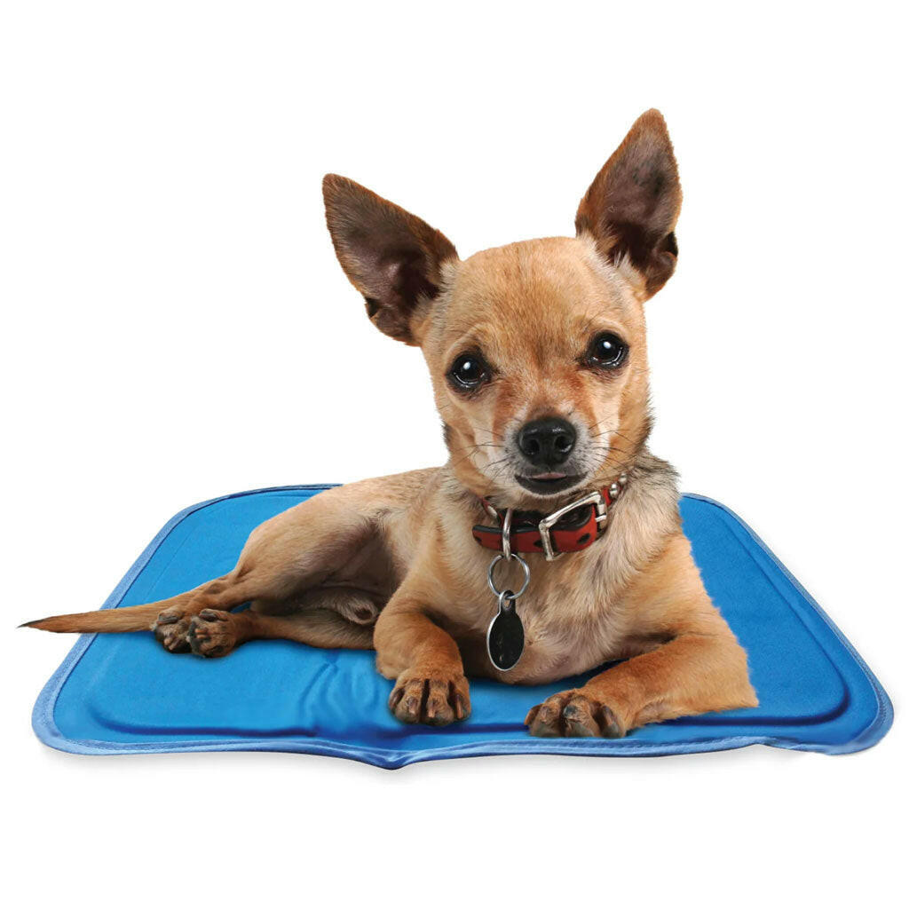 Green Pet Cool Pet Pad x-small blue