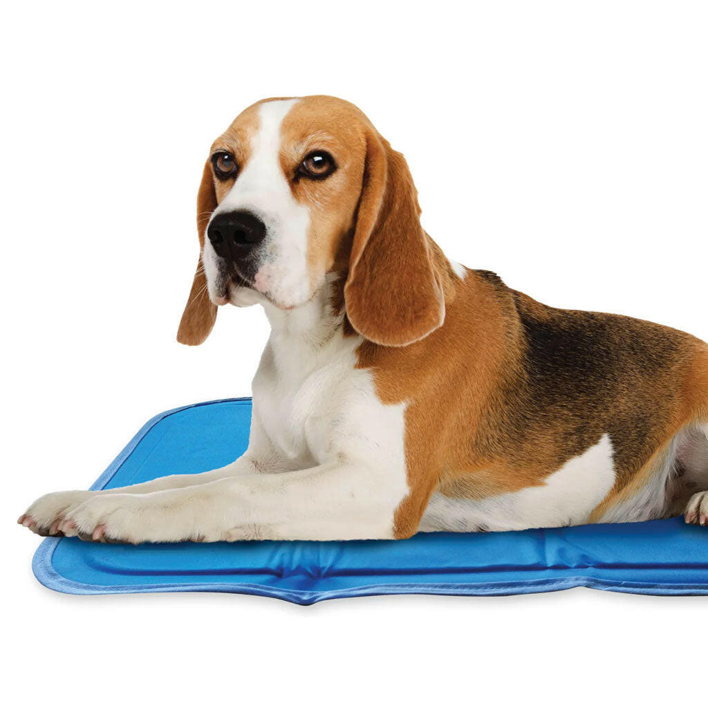 Green Pet Cool Pet Pad blue sm dog