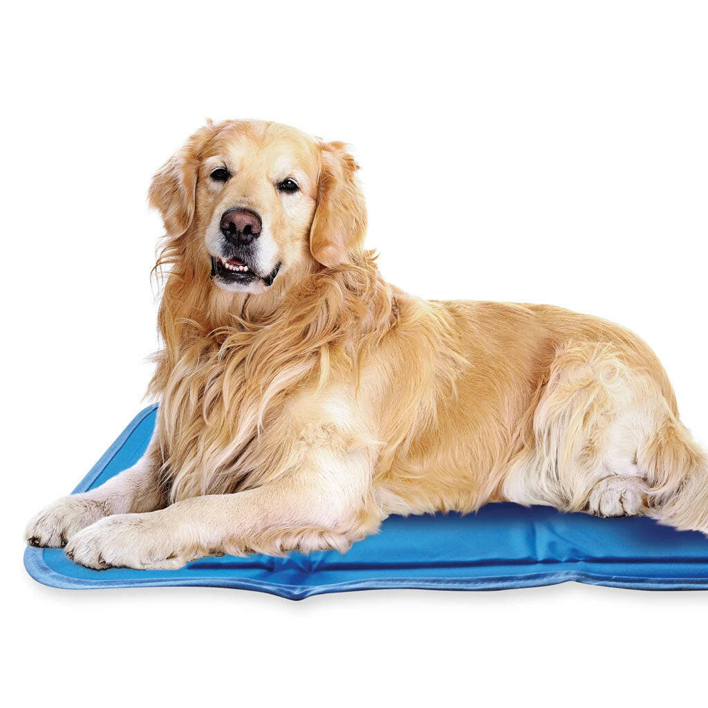 Green Pet Cool Pet Pad blue lg dog