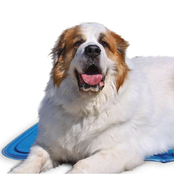 Green Pet Cool Pet Pad blue xlg dog