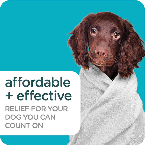 flea and tick shampoo for dogs