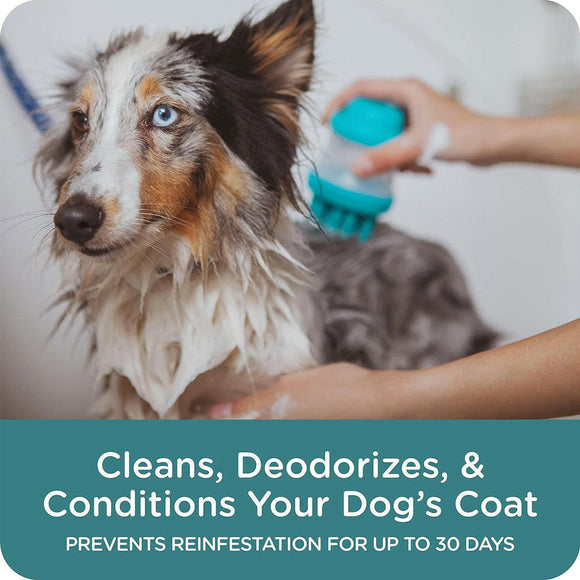 sergeant flea and tick shampoo