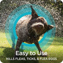 sergeant's flea and tick shampoo