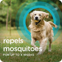 repel mosquitoes for up to 4 weeks