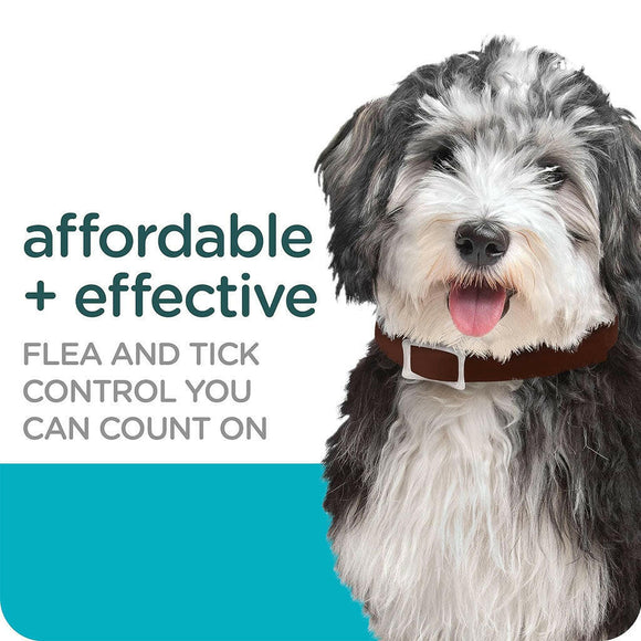 Sergeant's Guardian Flea & Tick Collar for Dogs affordable