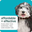 best flea and tick collar for dogs