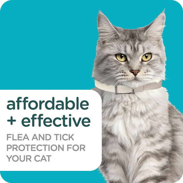 Sergeant's Guardian Pro Flea & Tick Collar for Cats, Fresh Scent afordable and effective