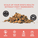Natural Rapport The Only Freeze-Dried Salmon Dogs Need, 3-oz-4