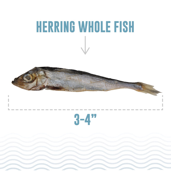Icelandic+ Herring Whole Fish Natural Dog Treats, 9-oz
