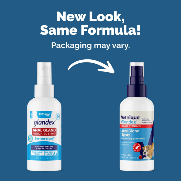 Glandex Advanced Vet Strength Anal Gland Medicated Itch Relief Spray for Dogs & Cats (4 oz)