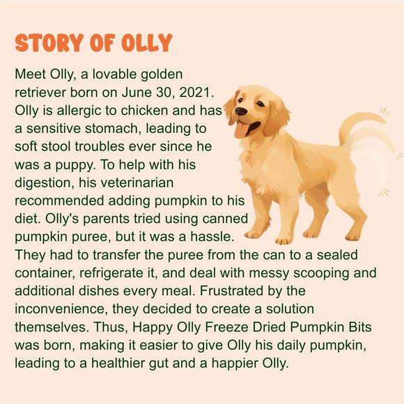 Story of Olly, a golden retriever with text about his health issues and the creation of Happy Olly Freeze Dried Pumpkin Bits.