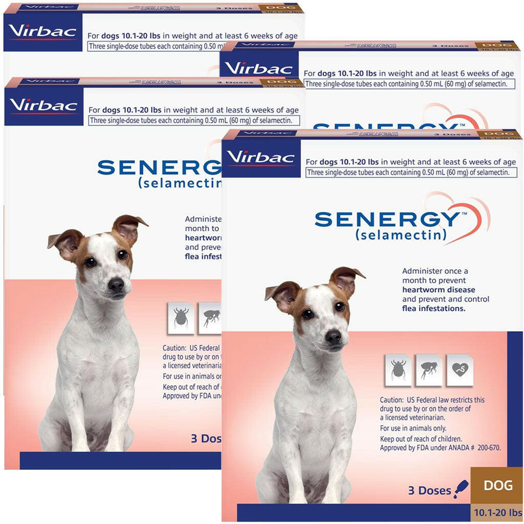 Senergy Topical Solution for Dogs, 10.1-20 lbs 12 doses