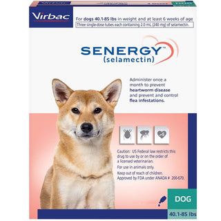 Senergy Topical Solution for Dogs, 40.1-85 lbs 1 dose