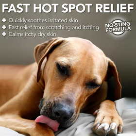 Vet's Best Hot Spot Itch Relief Spray For Dogs - 0