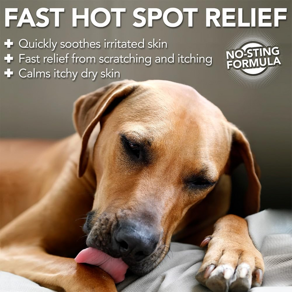 Vet's Best Hot Spot Itch Relief Spray For Dogs