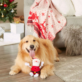 Dog sitting on a wooden floor with a Christmas-themed toy, surrounded by festive decorations.