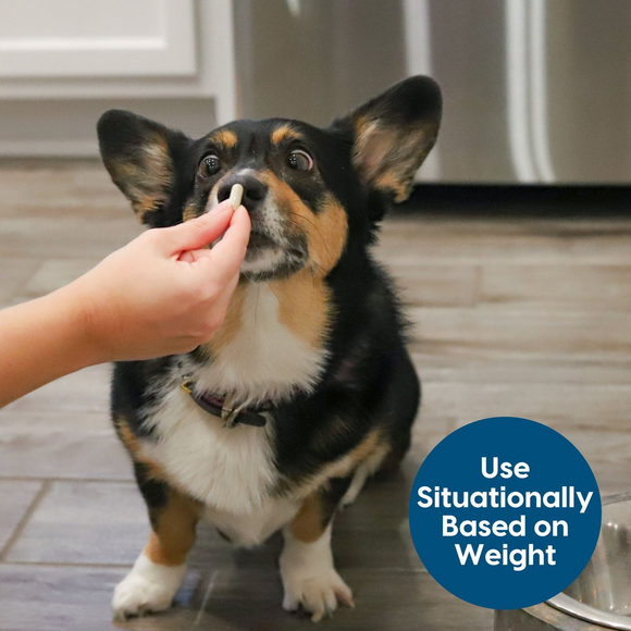 Ark Naturals Happy Traveler Calming Supplement Capsules for Dogs & Cats  (30 ct)