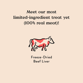 Bocce's Bakery Freeze Dried Beef Liver Dog Treats (3 oz)