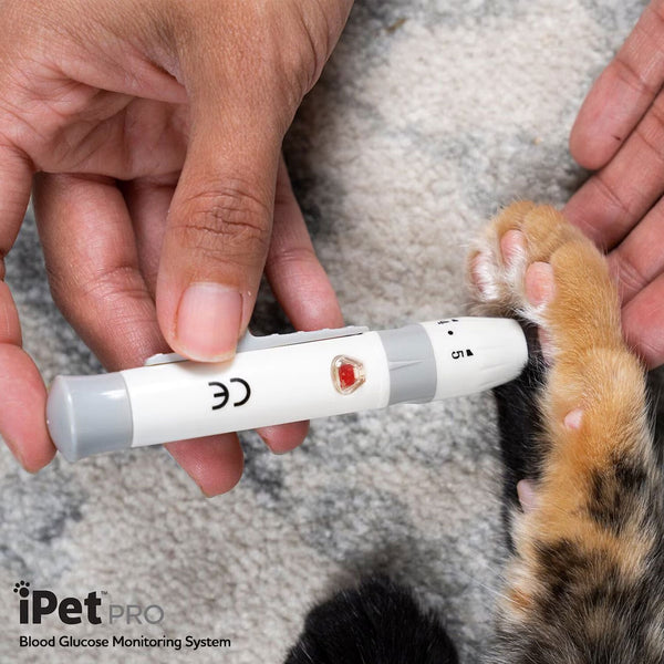 iPet PRO Ulti-Thin Sterile Lancets for Dogs & Cats