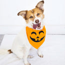 Dog wearing a Halloween-themed orange bandana with a jack-o'-lantern design on a white background