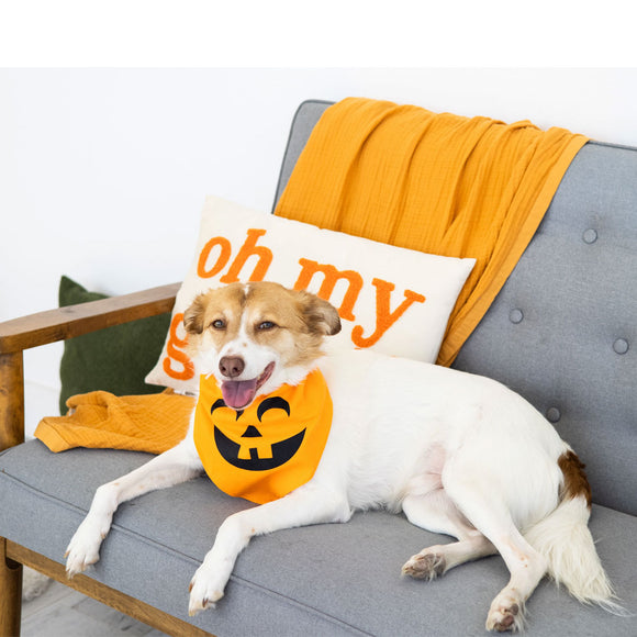 Dog wearing a Halloween bandana on a couch with a pillow and blanket.
