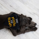 Dog wearing a black shirt with yellow text on a light wooden floor