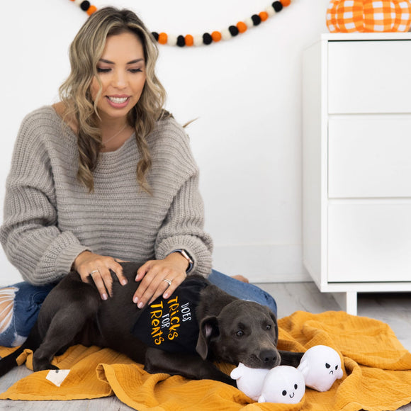 Woman sitting with a black dog wearing a Halloween-themed shirt on a yellow blanket.