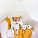 Dog sitting on a white chair with ghost-shaped toys and a yellow blanket