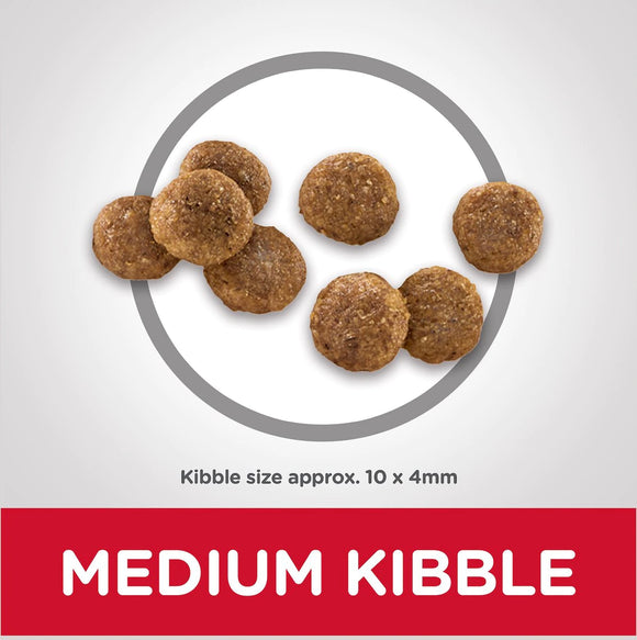 Hill's Science Diet Puppy Dry Dog Food, Chicken Meal & Barley Recipe (30 lb)