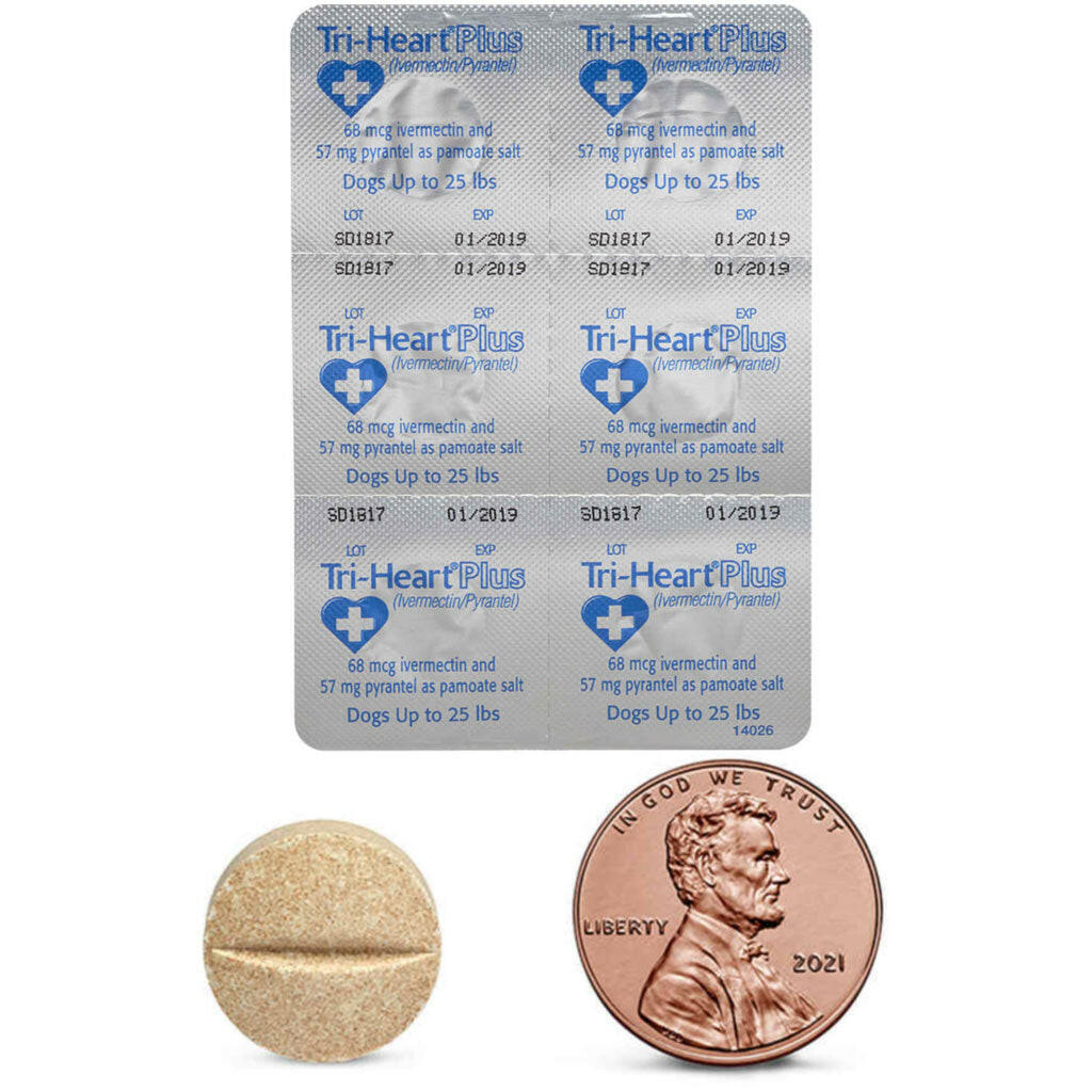 Tri-Heart Plus for Dogs up to 25lbs tablet with penny