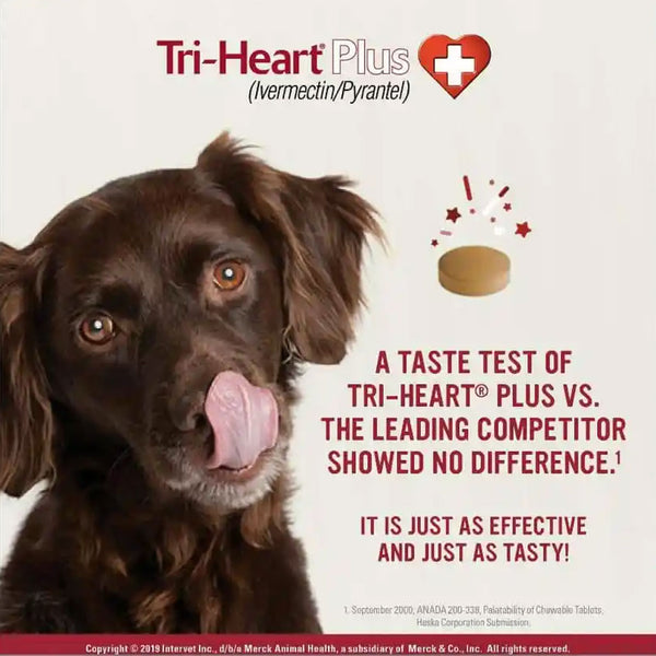 Tri-Heart Plus for Dogs 51-100 lbs tasty chewable