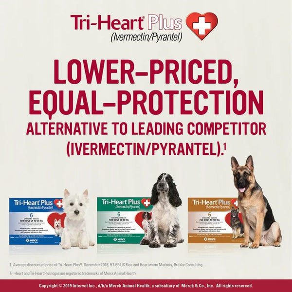 Tri-Heart Plus for Dogs 26-50lbs chewable