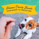 Natural Balance Pet Foods Rewards Bite-Size Crunchy Biscuits Small Breed Dog Treats Chicken