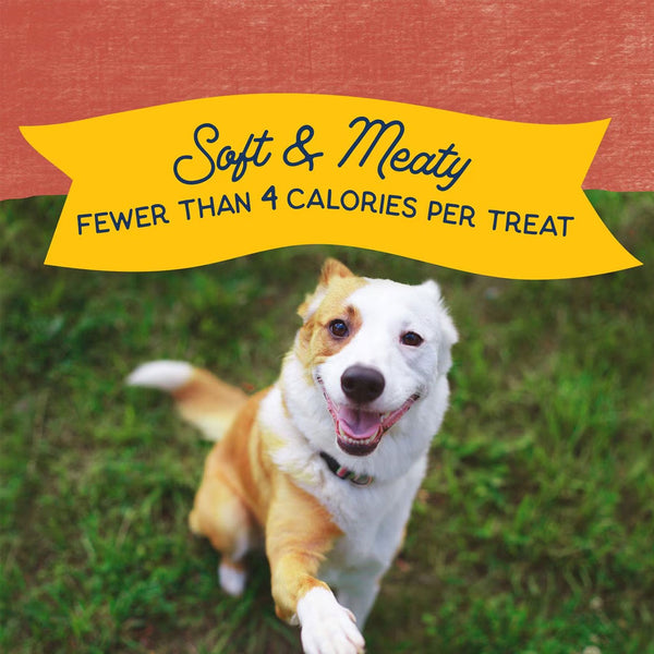 Natural Balance Rewards Minis with Real Salmon Dog Treats