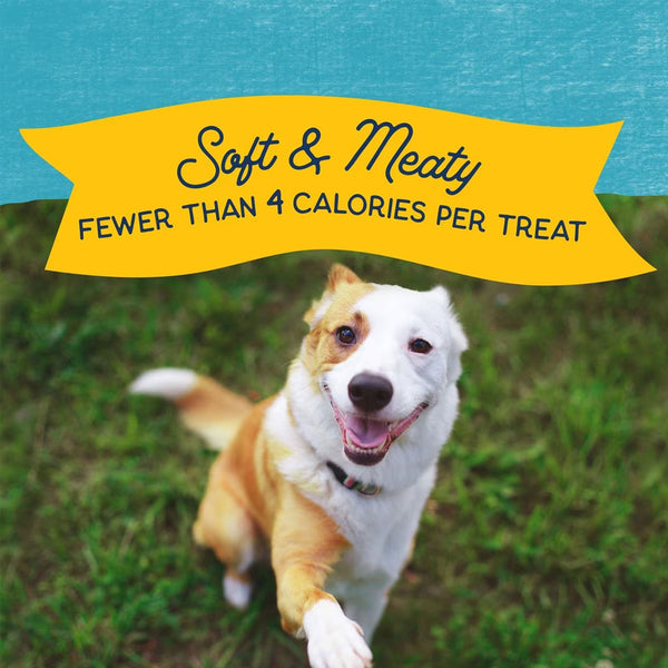 Natural Balance Rewards Minis with Real Turkey Dog Treats